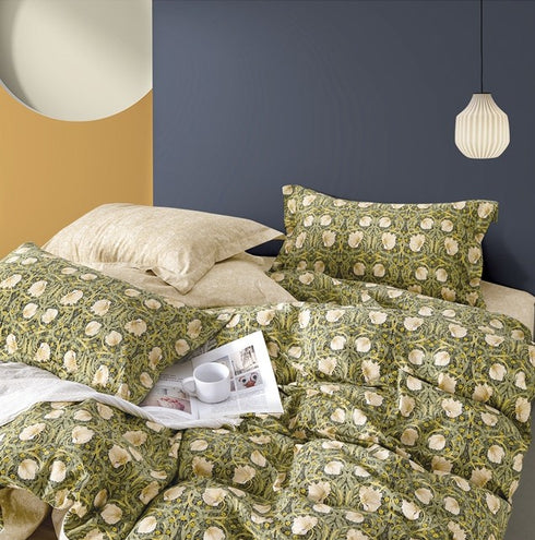 San Diego 250 TC King Size 100% Cotton Imported Bed Sheet Set with 2 Pillow Covers by Florida